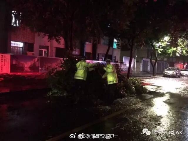 泡面番
