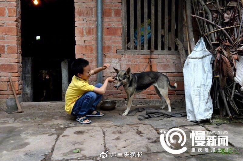 黄色美女网站在线观看视频