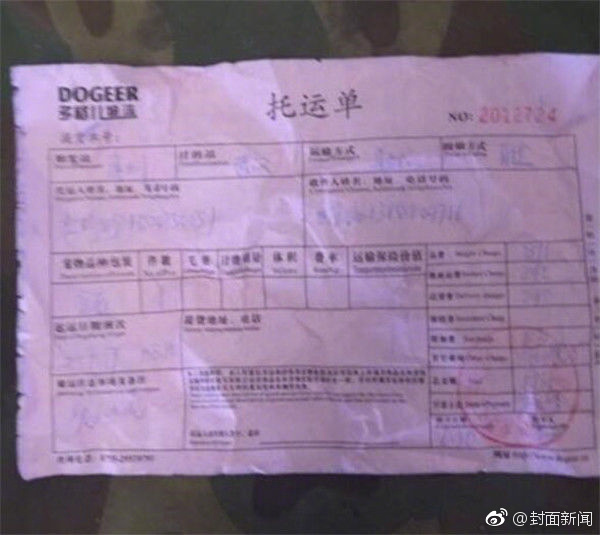不知火舞被同人
