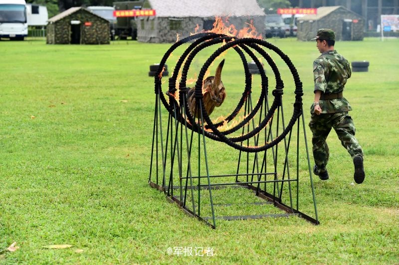免费黄色三级片，欧美