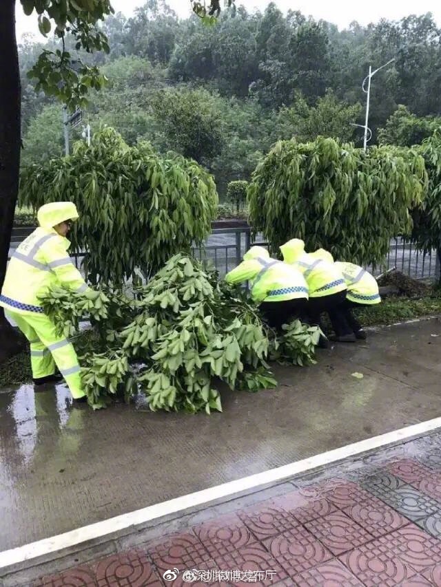 张筱雨露生殖特写