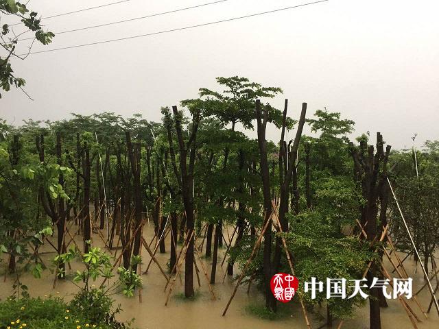 家庭乱伦中国