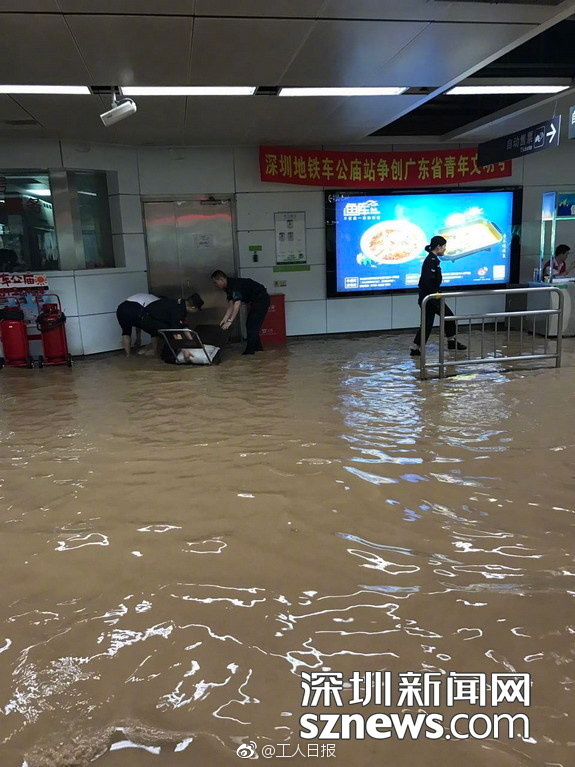 丰满多毛的大隂唇特写