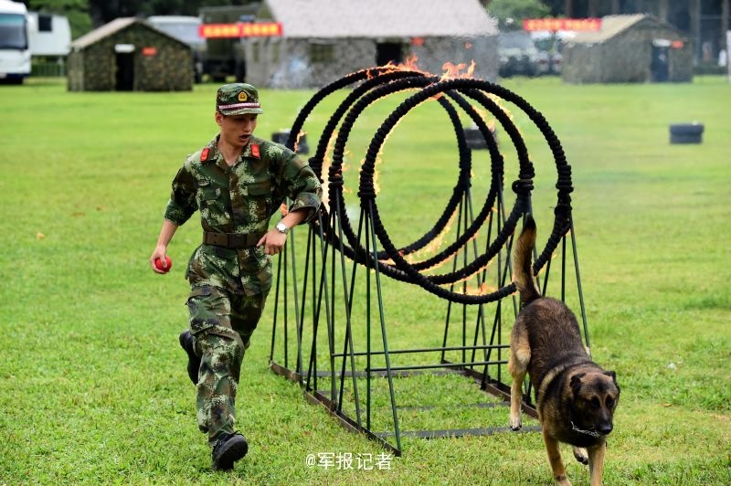 明星玩自己的J国产