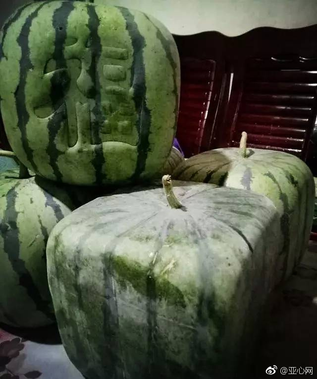 高潮黄色视频