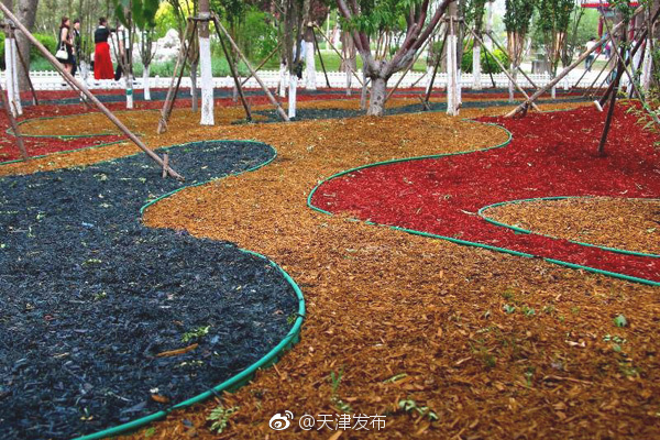 免费人成网站视频在线