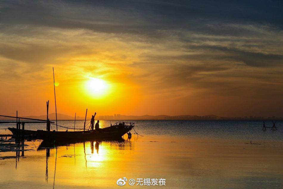 1级毛片