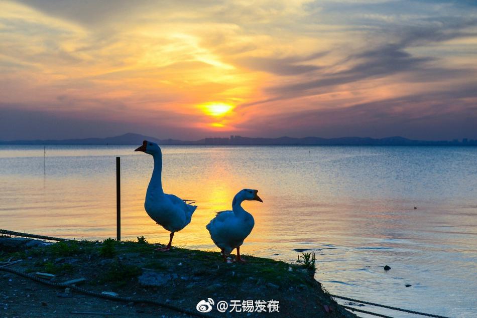 亚洲精品Free在线观看
