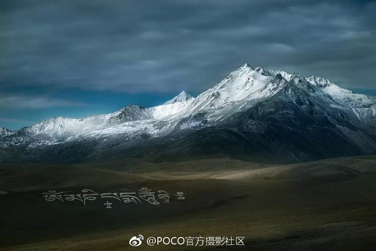 免费一级婬片A片啪啪声故事