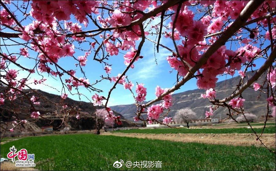 欧美高清老妇性爱视频