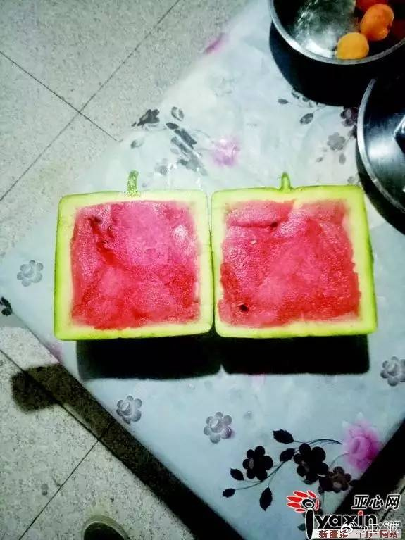 亚洲成人小说