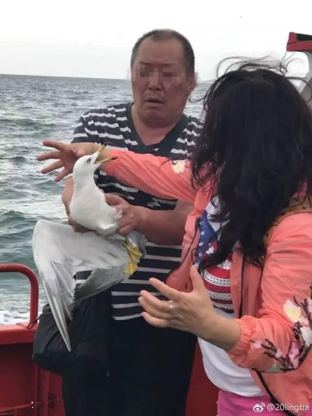 黄色高清视频无码网站