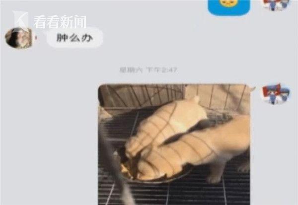 体内 精69XXHD