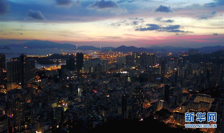 台灣小野貓