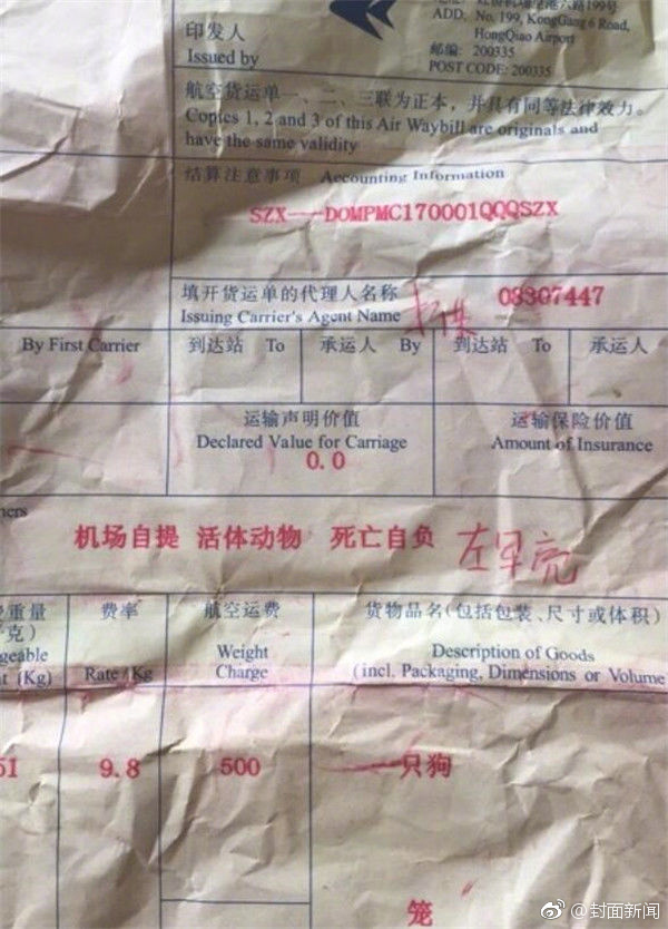 A级毛片免费看