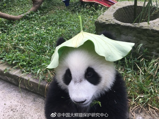 黄网站视频在线看Www
