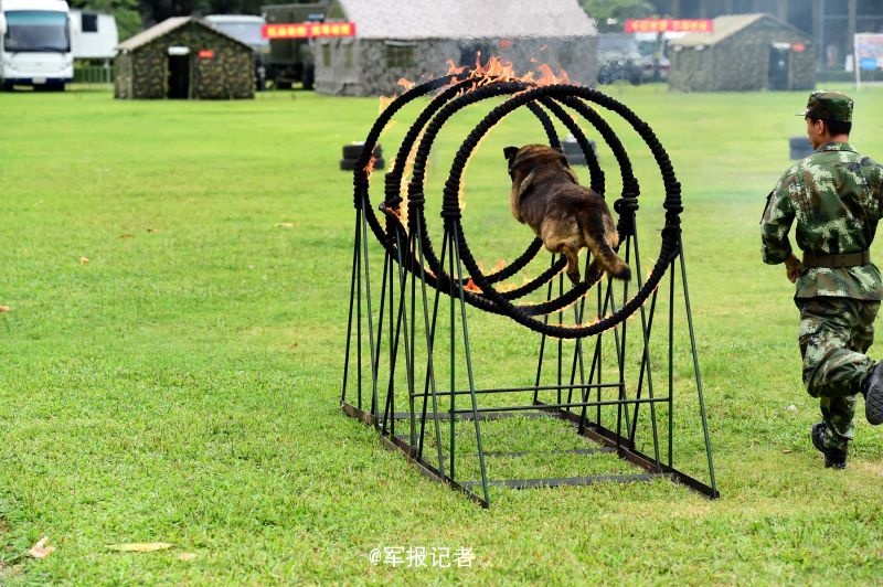 背後位