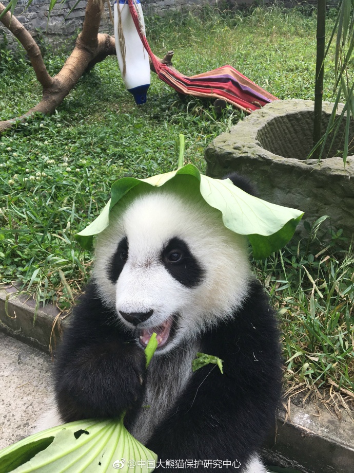 天天干夜夜拍