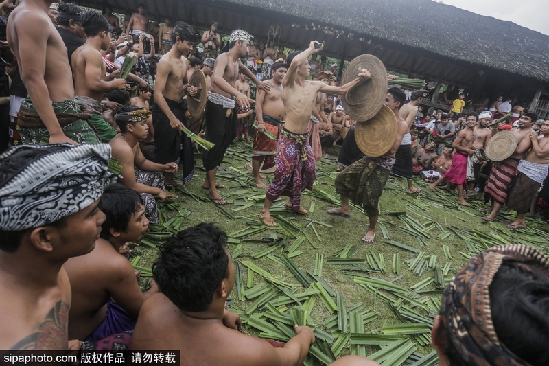 原神神里绫华裸体被 黄漫