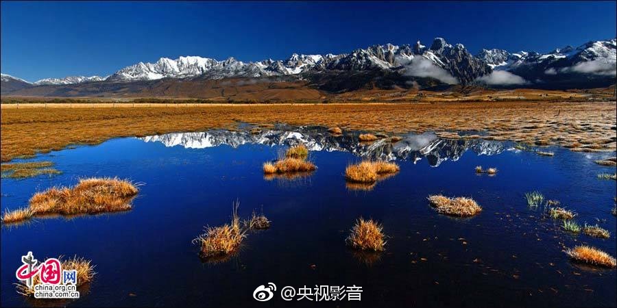 黄色网永久免费