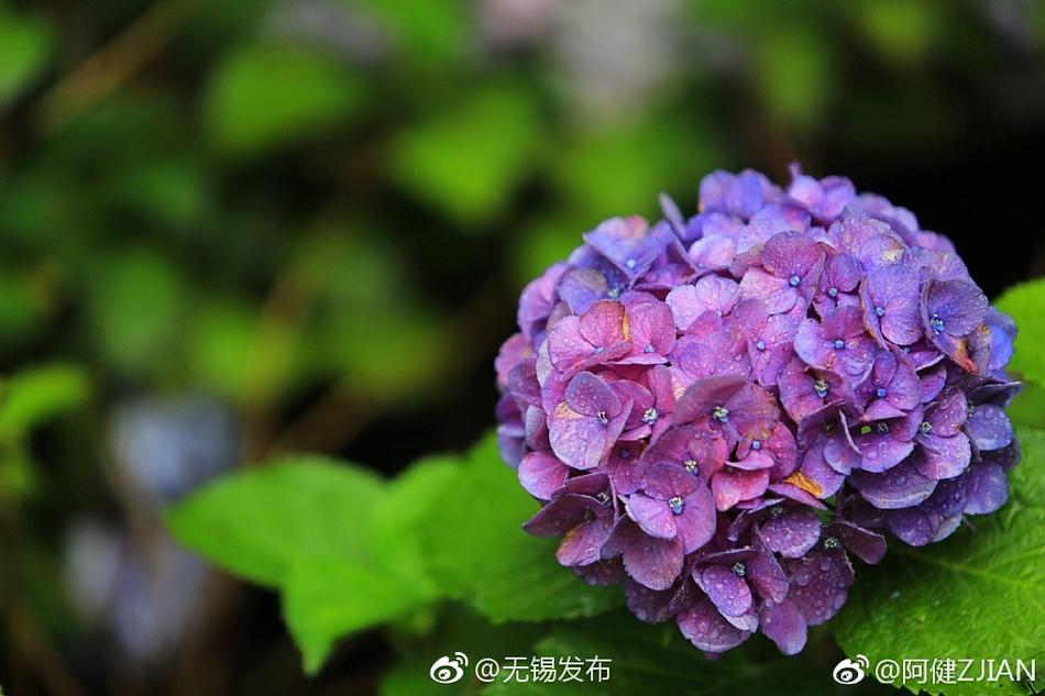 久久精品国产精品