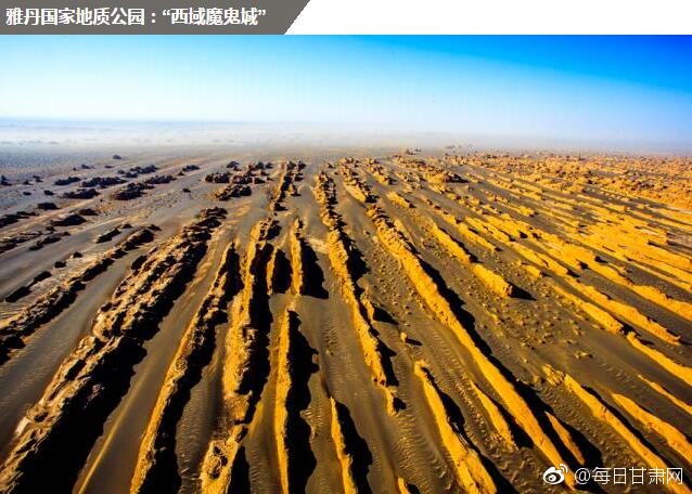 免费黄色大片
