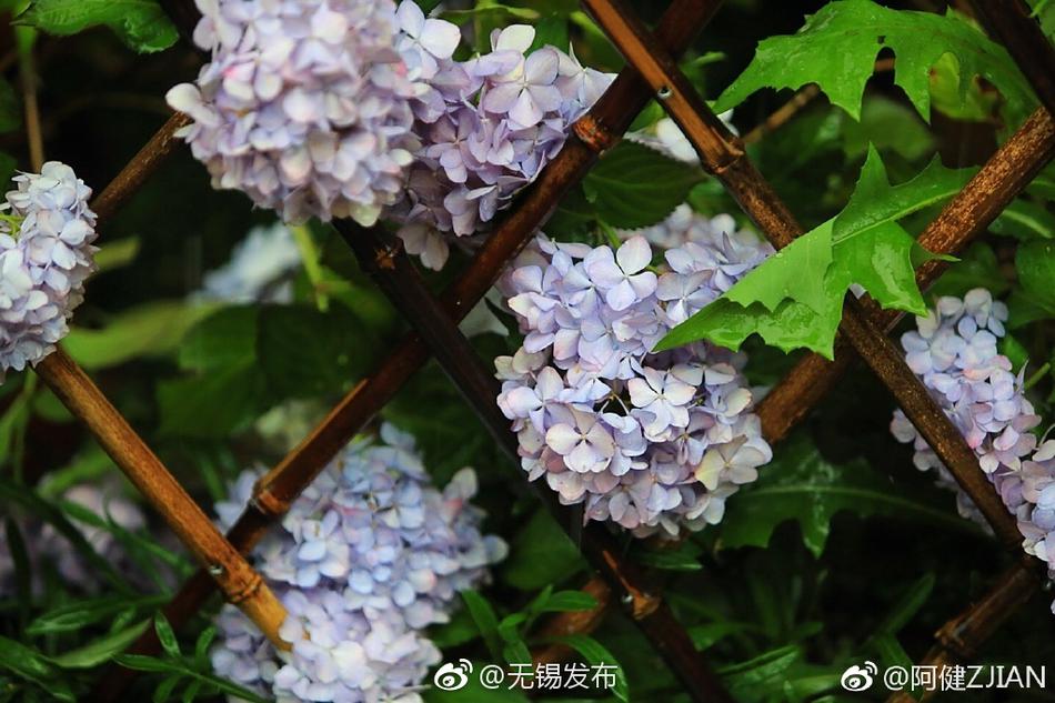色狼