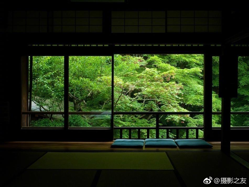 韩影网三级伦理