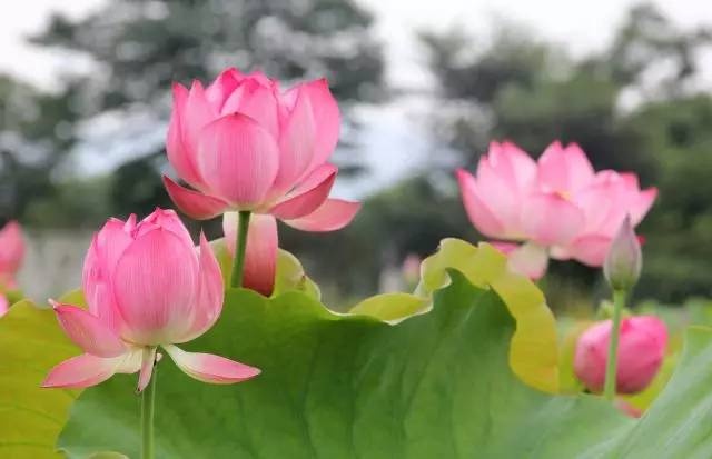 台湾一级婬片