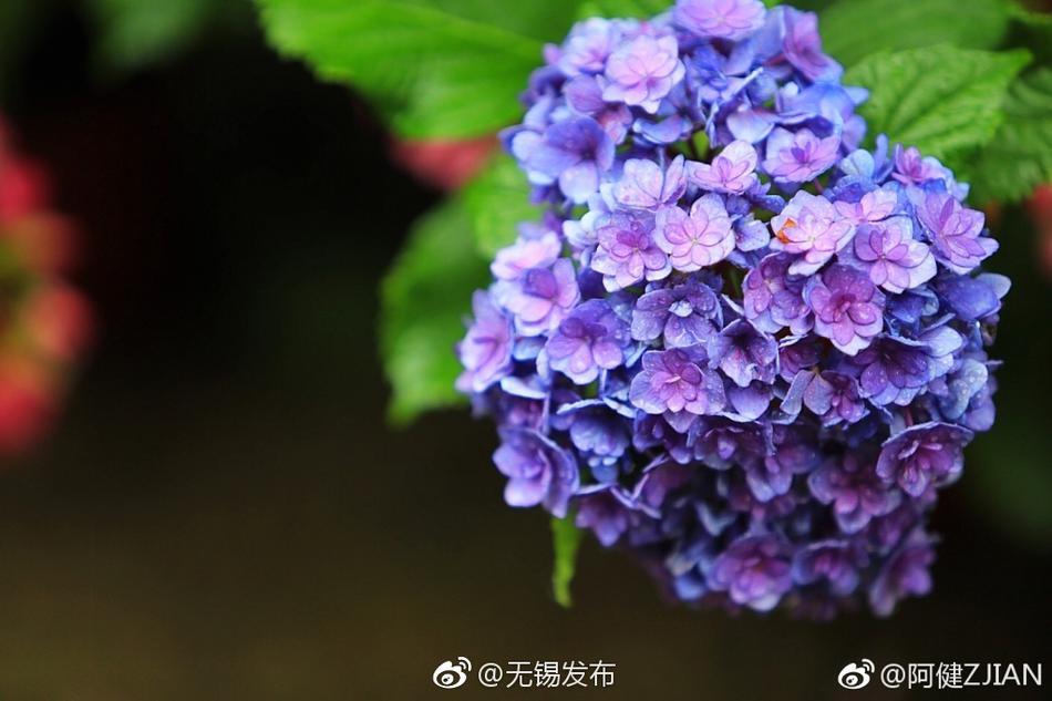 色视影院