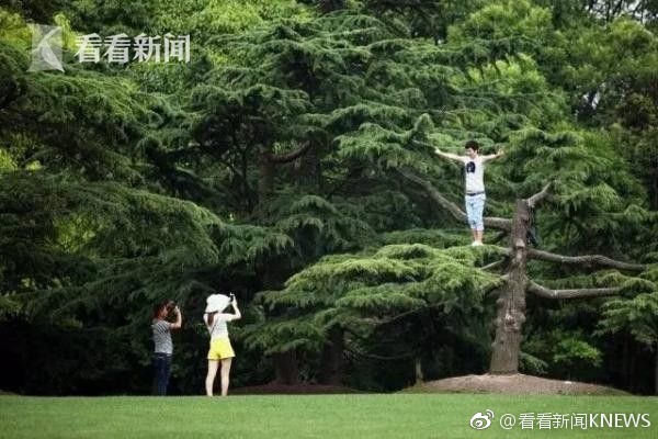91久久国产综合久久91大便