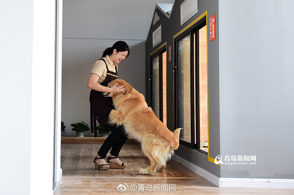丰满岳乱妇道伦91麻豆