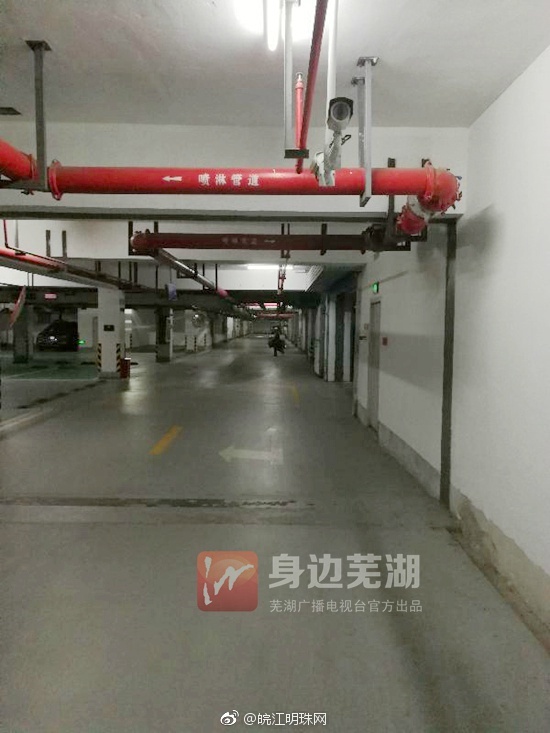 Free性Ⅴⅰdeo另类重囗