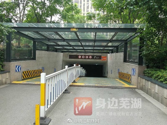 天堂在线8