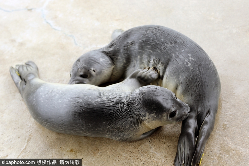 港台经典四级无码
