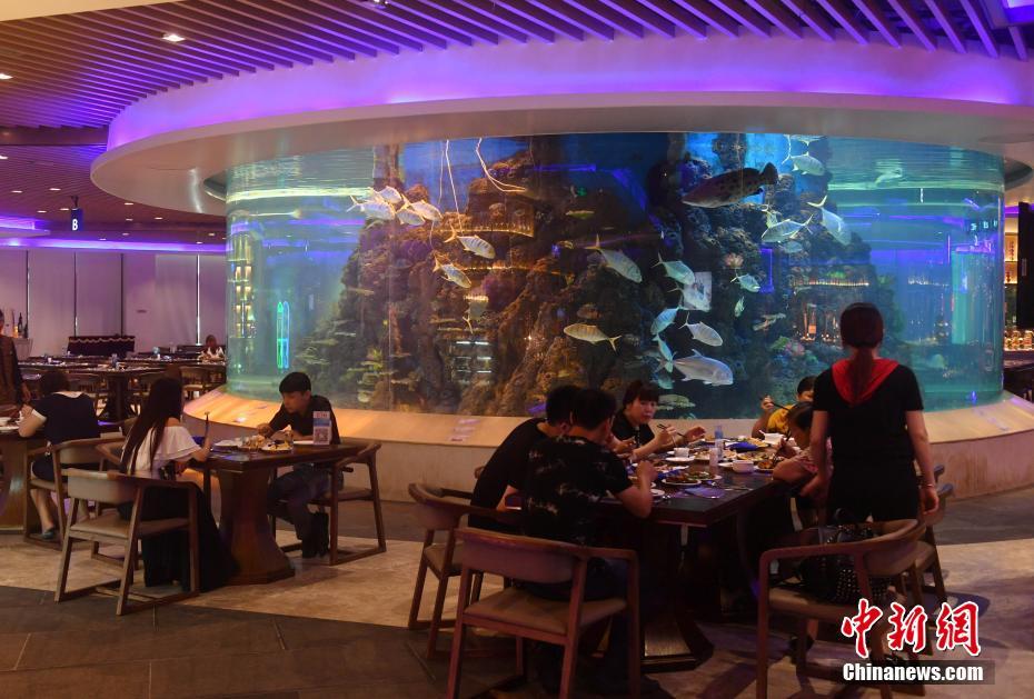 张柏芝跪下吃J8长什么样