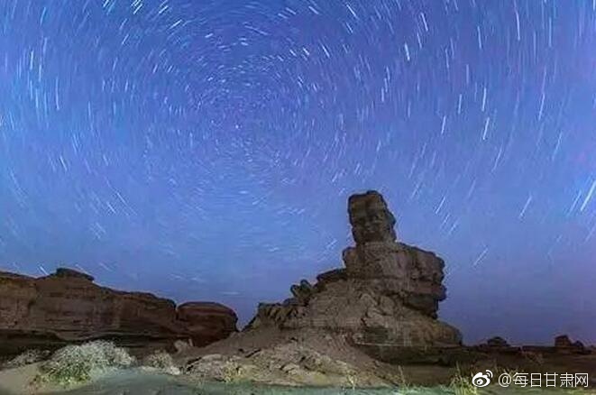 蘑菇mogu官网入口更新