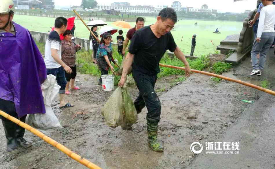 禁久久精品乱码
