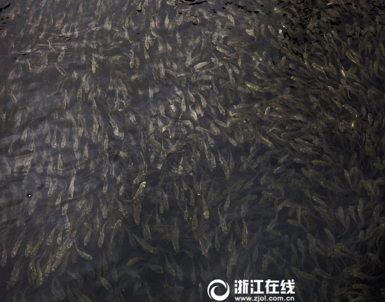 男女内射网网站