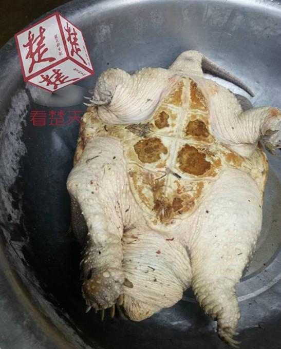 丰裕满贯杨玉环