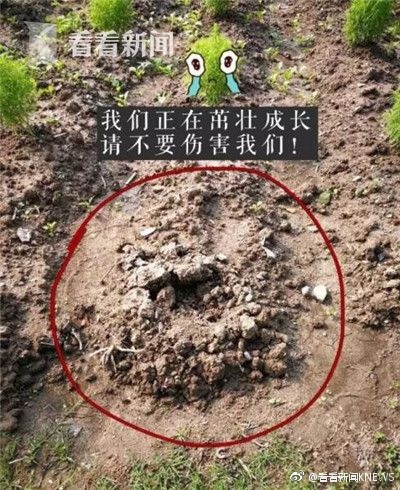 美女扒开秘 让男人桶爽