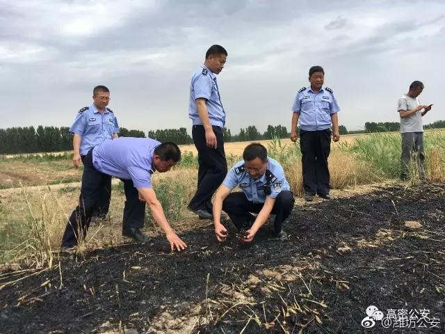 欧美特级