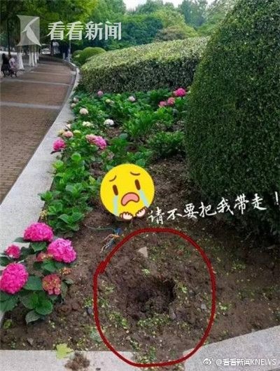 波多野吉衣一区