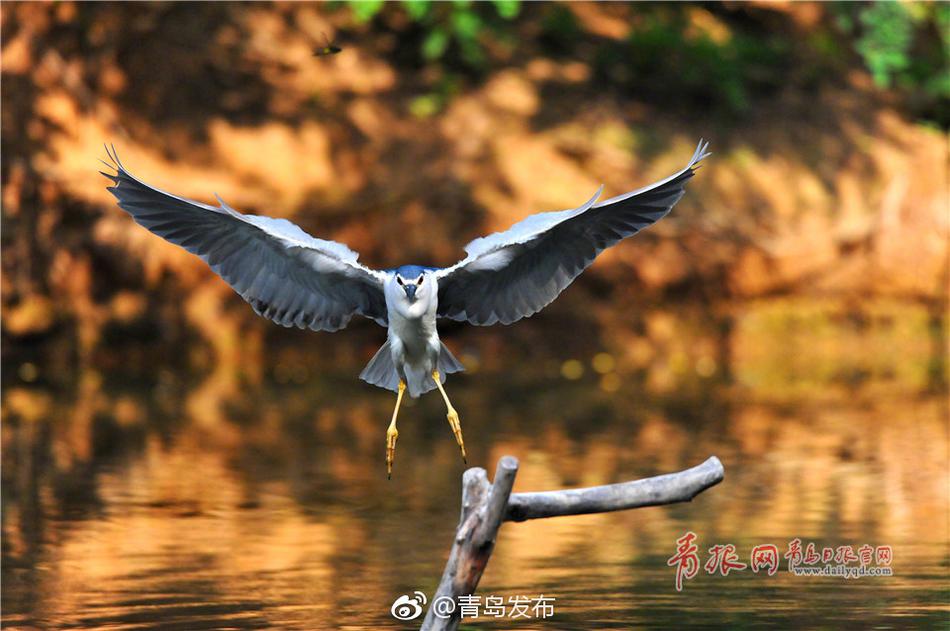 强行埏进刘亦菲紧窄湿润视频