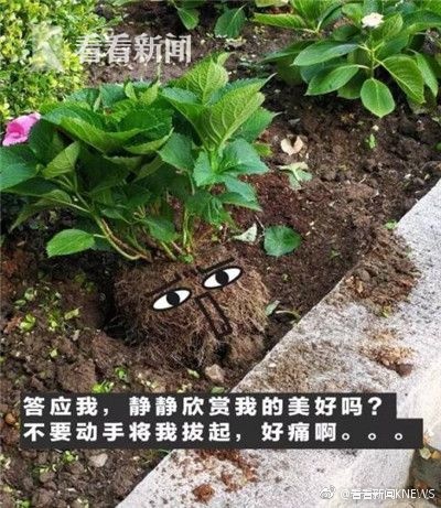 无码 成人 片