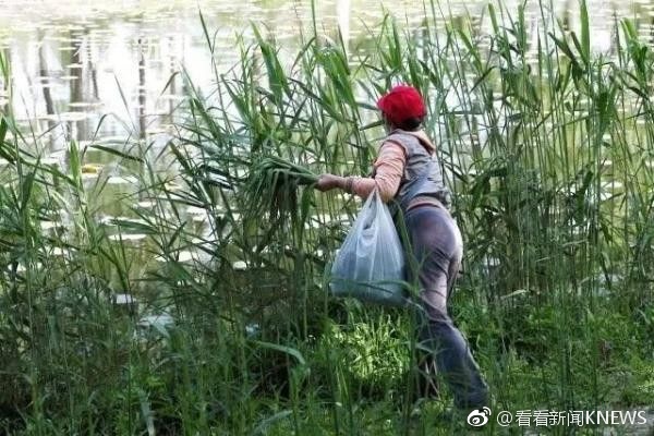 大尺度吻胸吻奶头揉捏奶电影