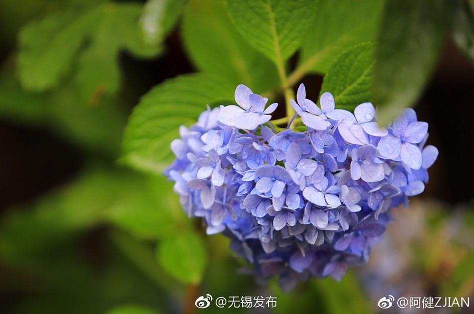 清水美里