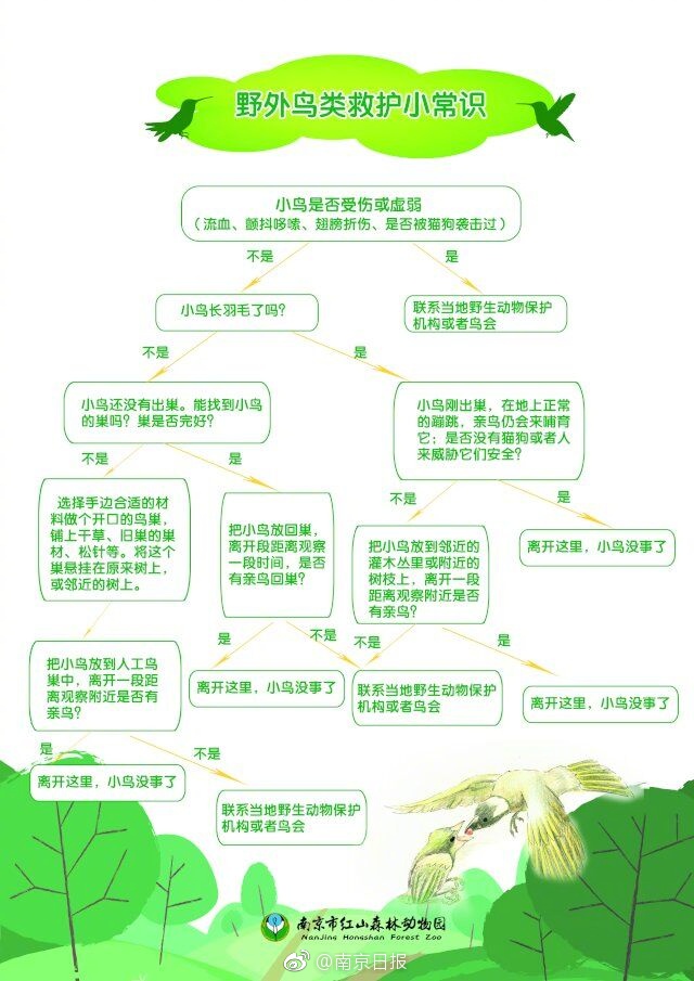 黄片Www免费