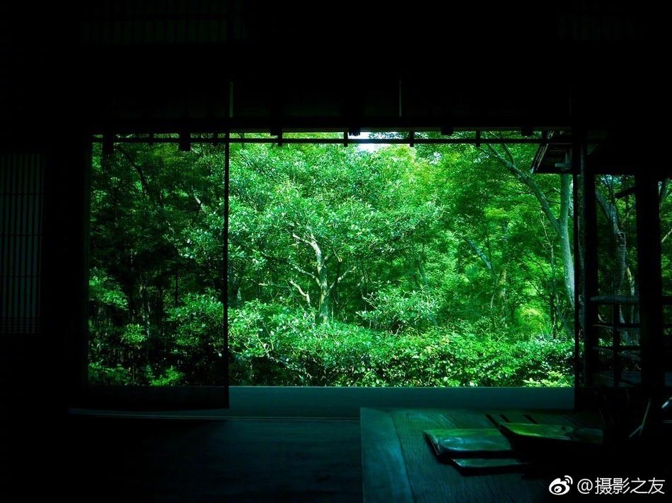 日韩偷拍专区