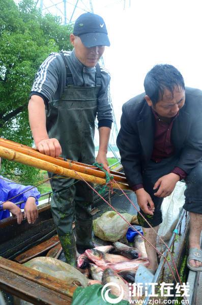 老肥逼色情